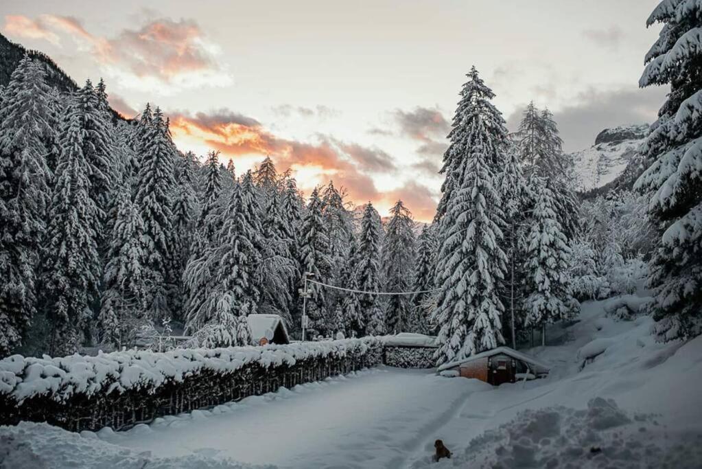 Idyllic Triglav Forest Retreat - Alps, Trails, Lakes, Falls Mojstrana Exterior photo